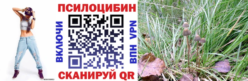 Галлюциногенные грибы Cubensis Купить где Тосно